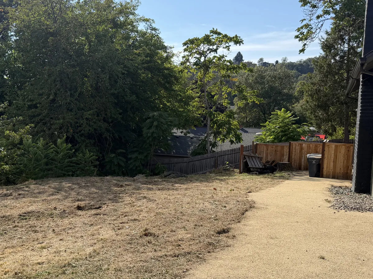 A backyard corner with the sapling thicket cut back with the ground cut down to short grass beside a gravel path and wood fence after brush trimming by Peak Landscaping in Southern Oregon