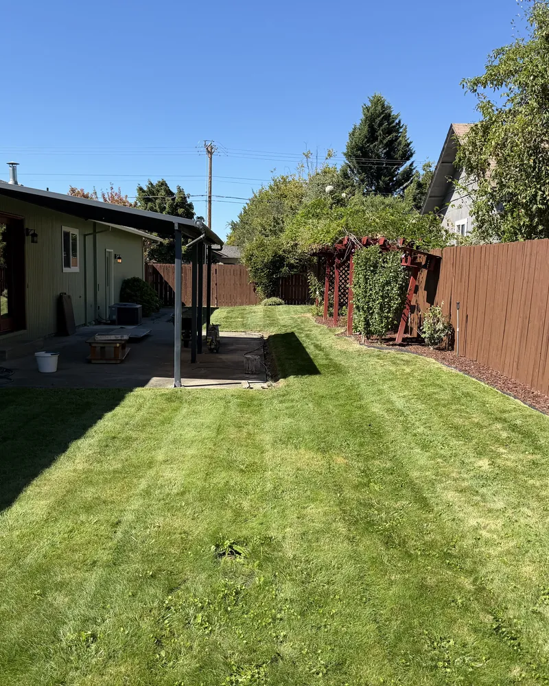 Freshly mowed backyard lawn with clean mower stripes and new red bark spread along the fence line at a Southern Oregon home