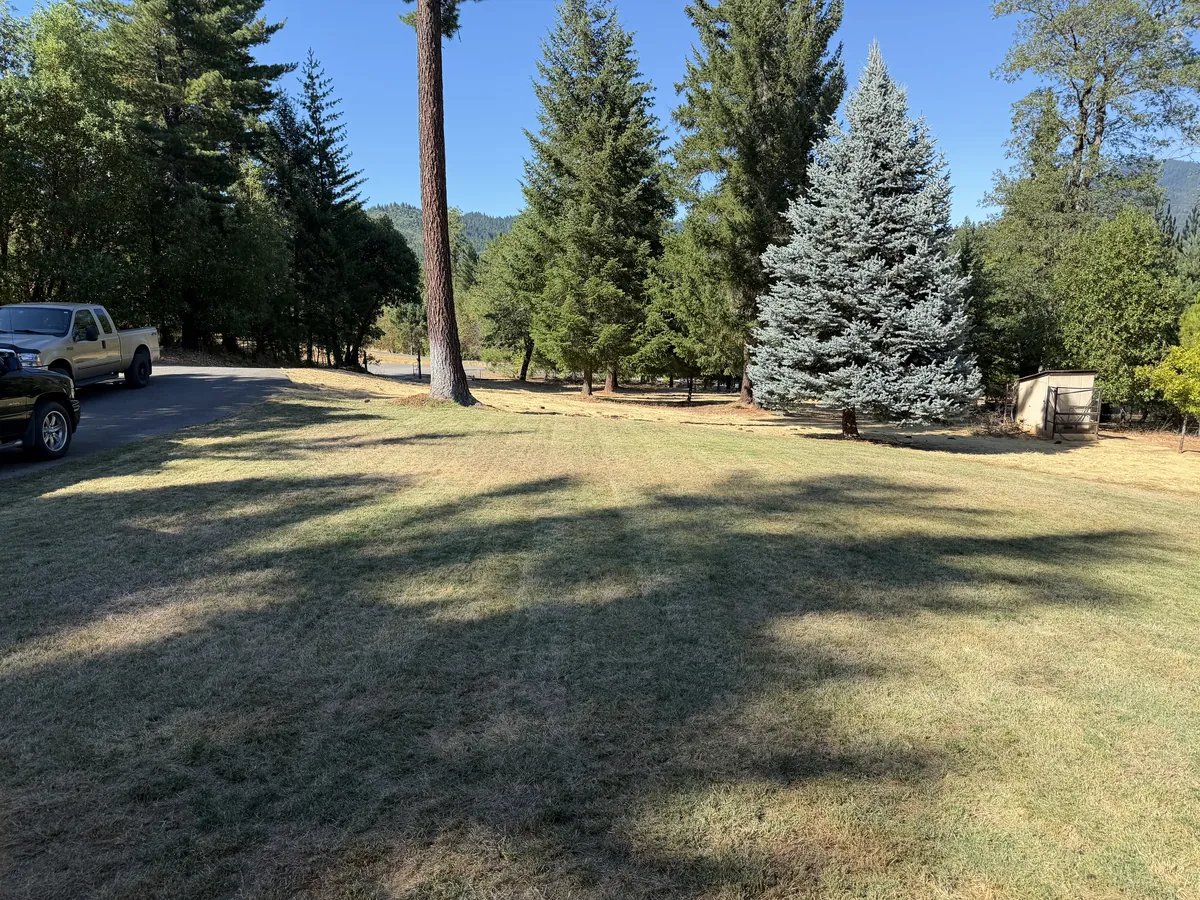 Large rural lawn mowed clean around ponderosa pines and a blue spruce on an acreage property in Southern Oregon