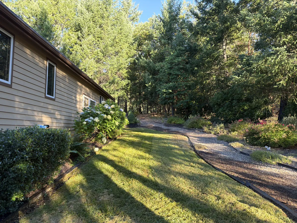 Mowed side lawn edged against a gravel path and hydrangea beds at a wooded Southern Oregon property