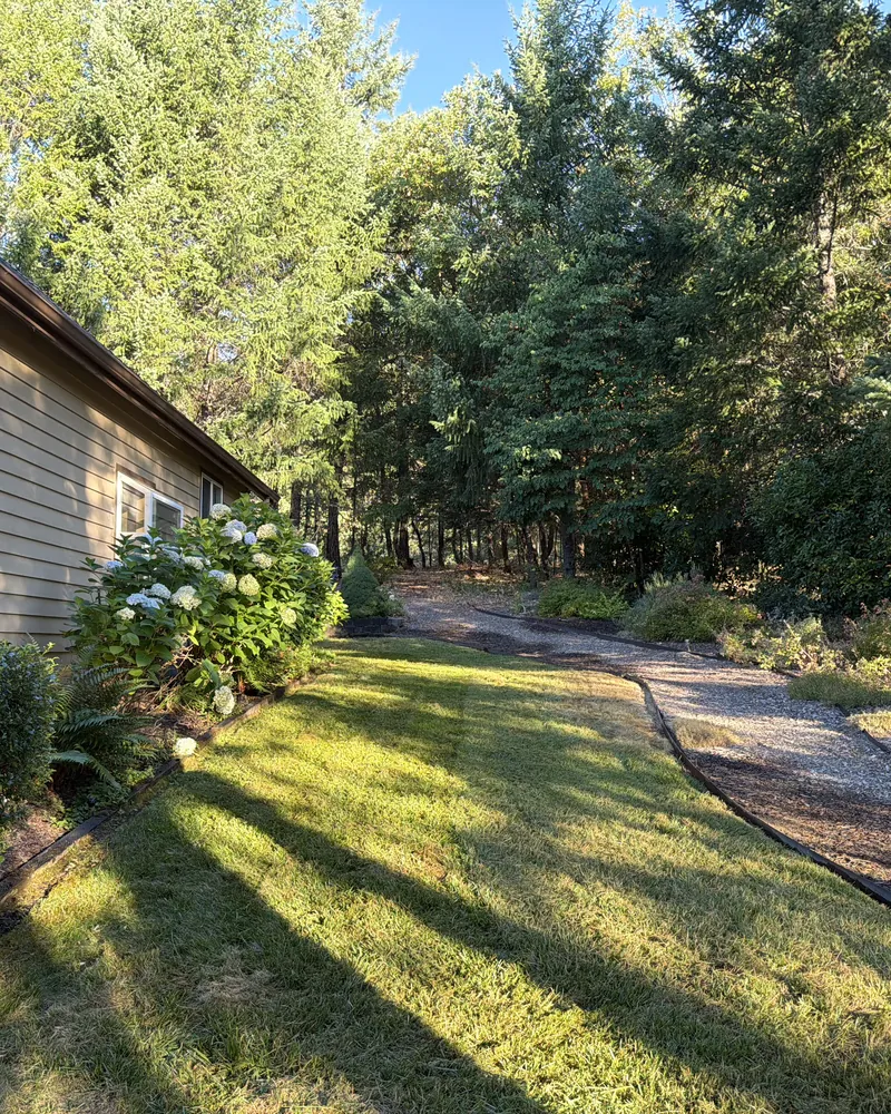 Mowed side lawn edged against a gravel path and hydrangea beds at a wooded Southern Oregon property