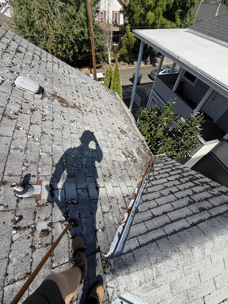 Asphalt shingle roof crusted with white lichen clumps and moss before Hilltop Landscaping cleaned it, Southern Oregon