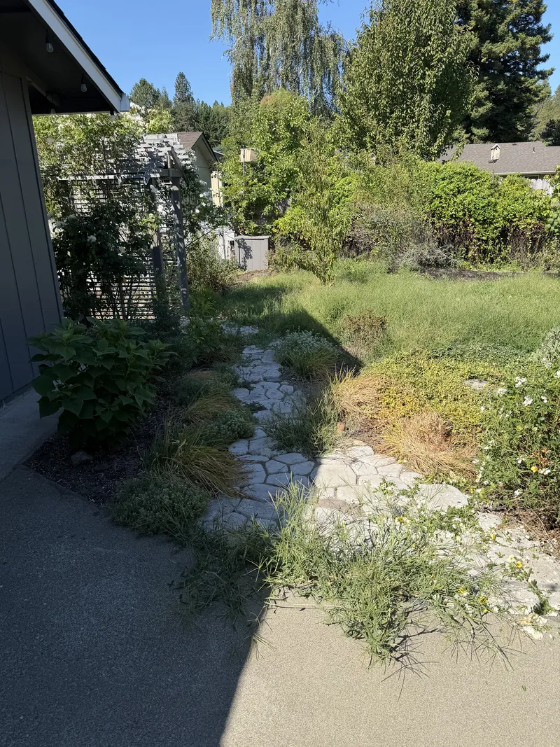 Backyard flagstone path buried under weeds and overgrown grass before Hilltop Landscaping cleaned up the yard in Southern Oregon
