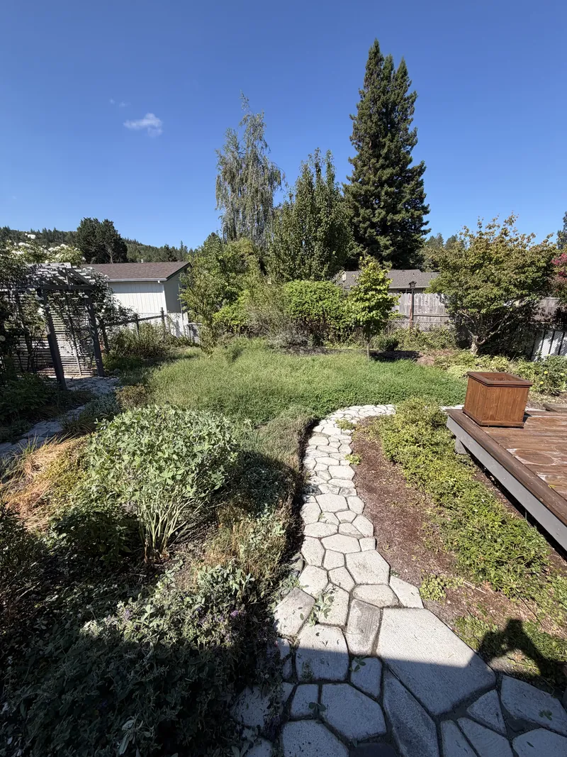 Backyard lawn and garden beds overgrown with tall dry weeds before a Hilltop Landscaping cleanup in Southern Oregon